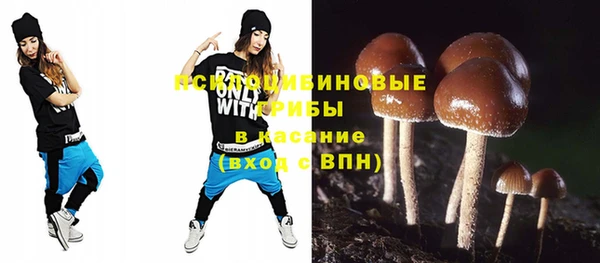 PSILOCYBIN Абинск