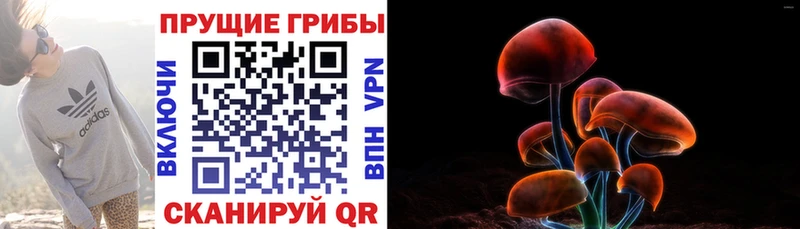 наркота  Мыски  MEGA рабочий сайт  Псилоцибиновые грибы Cubensis 